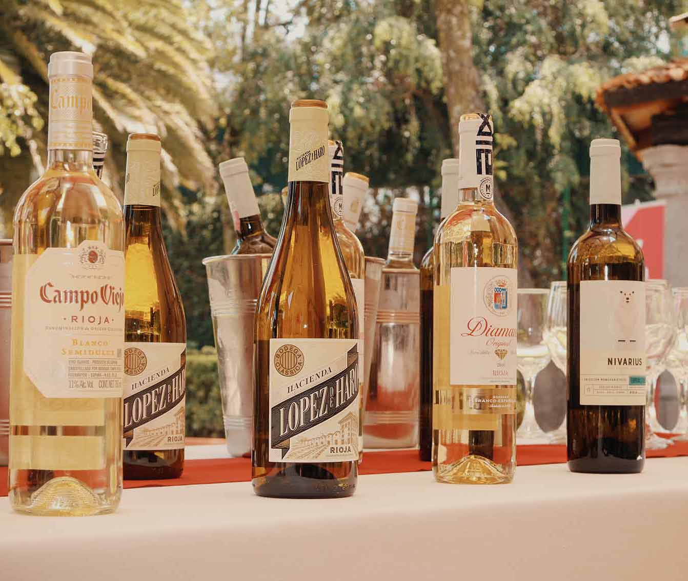 La perfección con un vino de Rioja