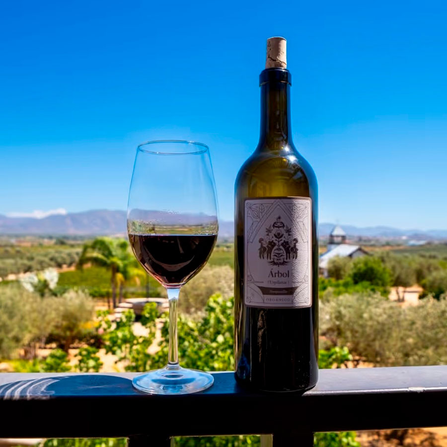 Baja-California-Microuniverso-Sabores-del-Mar-y-Vino