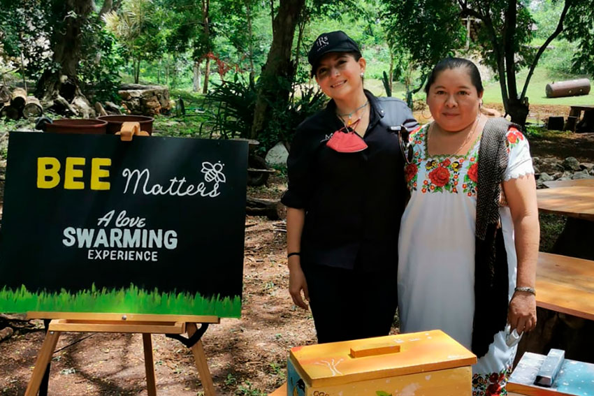 Bee-Matters-Yucatan