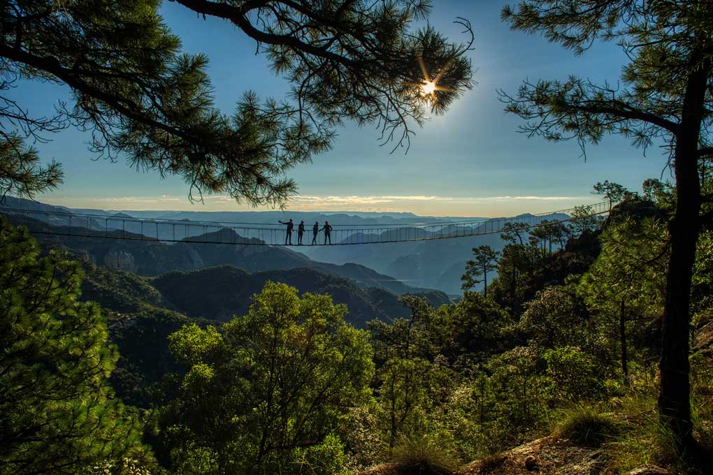 Chihuahua-Dia-del-Padre
