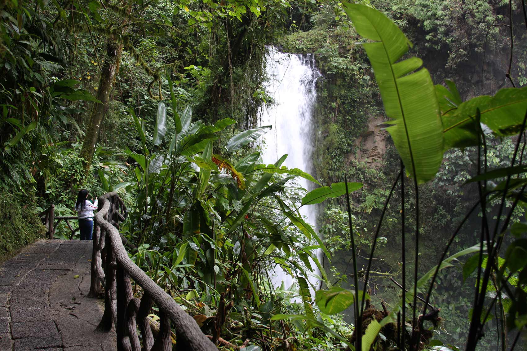 Costa-Rica-Cascada