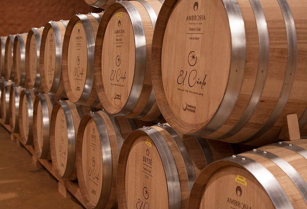 Delegacion-Turismo-Baja-California