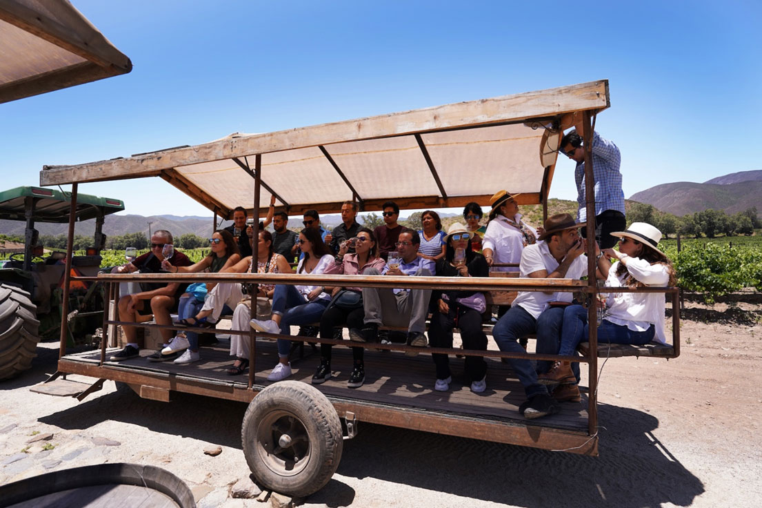 Fiestas-de-la-Vendimia-Baja-California