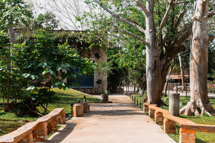 Festival-La-Vid-y-la-Ceiba