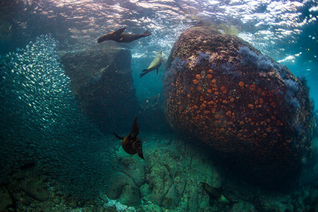 La-paz-baja-california-naturaleza