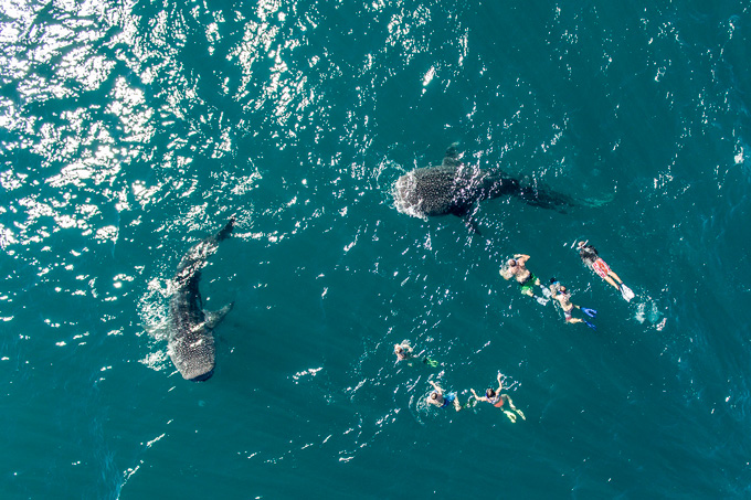 La-paz-baja-california-naturaleza