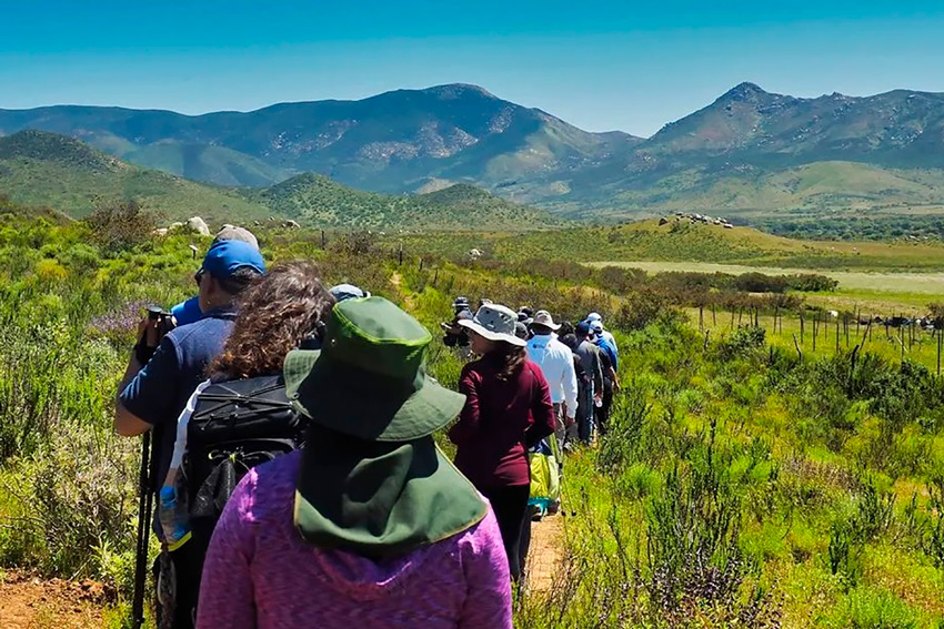 Rutas-de-Hiking-Tecate