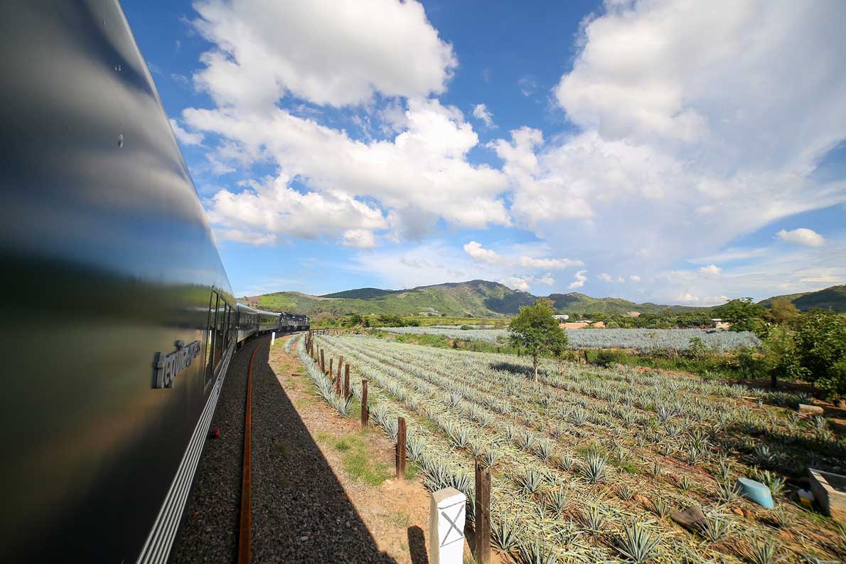 Tren-Tequila-Express