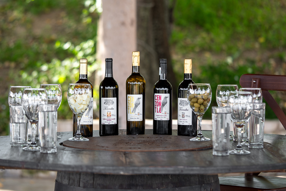 Enoturismo-en Jalisco