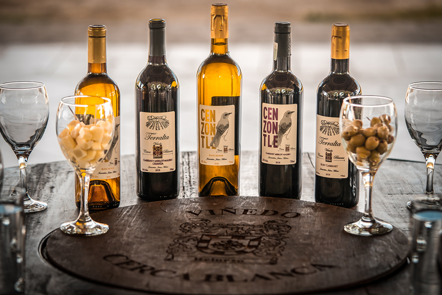 Enoturismo-en Jalisco