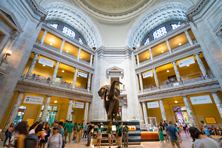Washington-DC