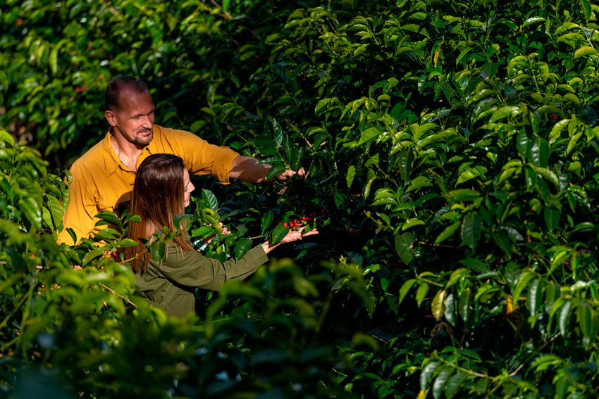Panama-World-of-Coffee
