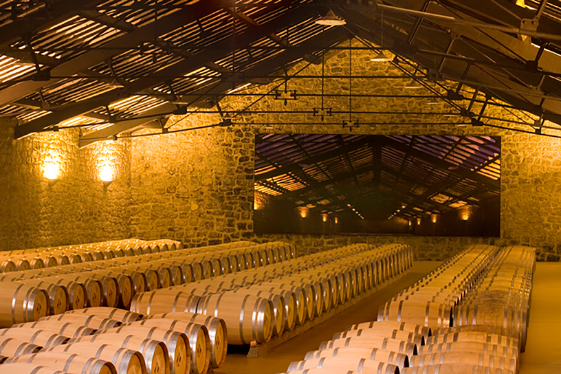 CVNE-Presencia-en-Mexico