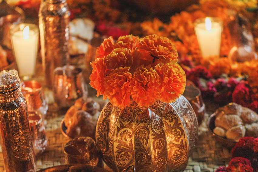 Festival-de-Vida-y-Muerte-20-Años
