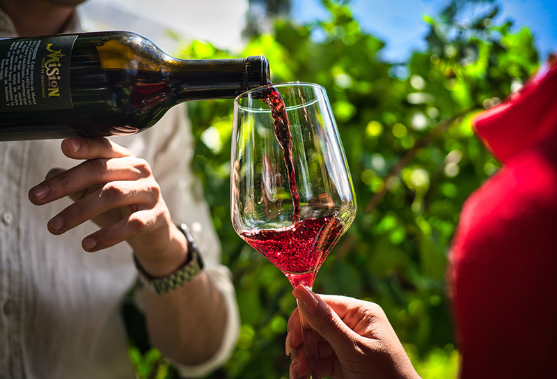 Food-Wine-festival-Ciudad-Juarez