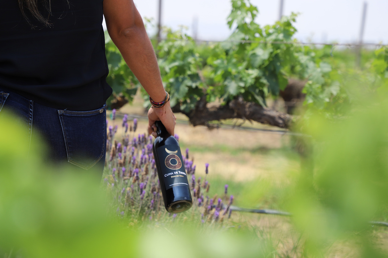 Guanajuato-Abriendo-Caminos