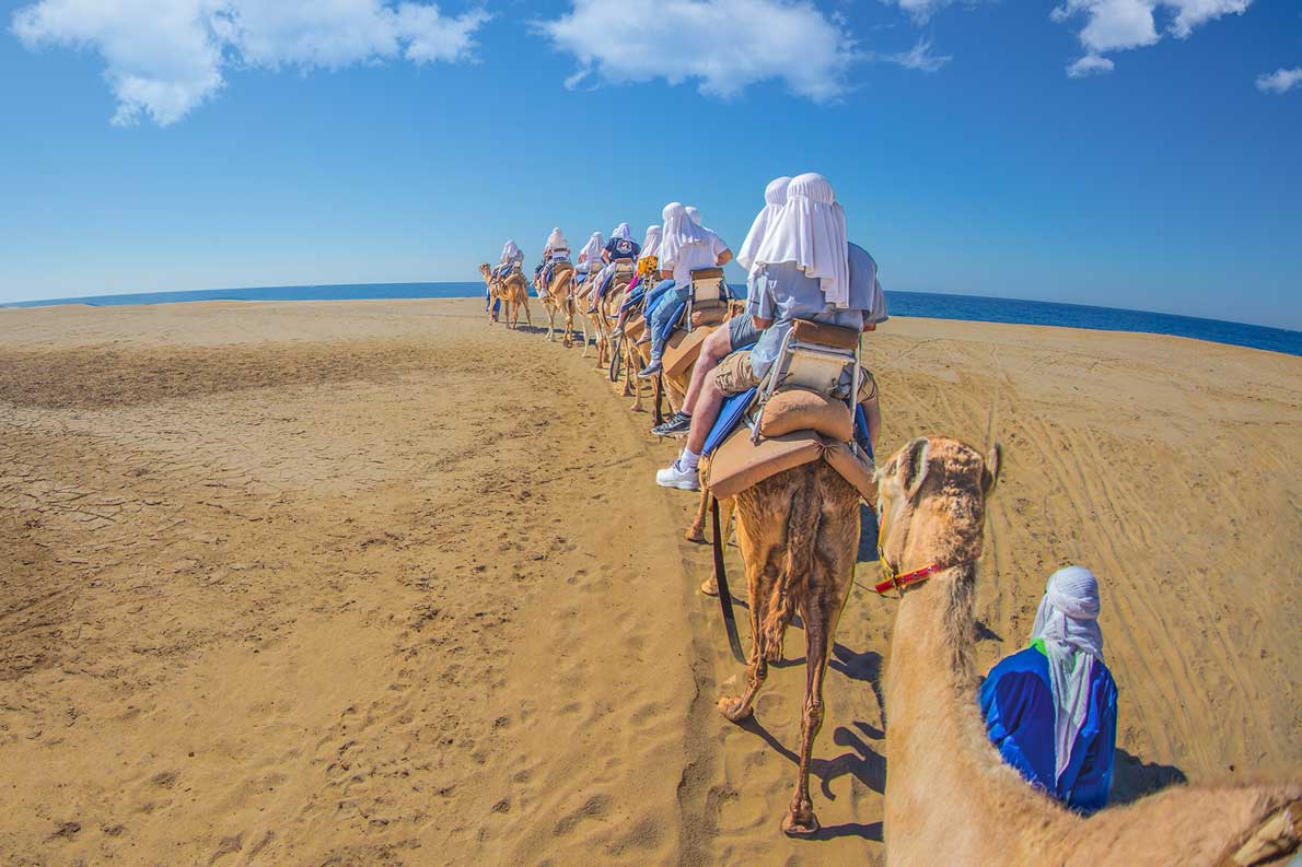 Los-Cabos-paseo-en-camello