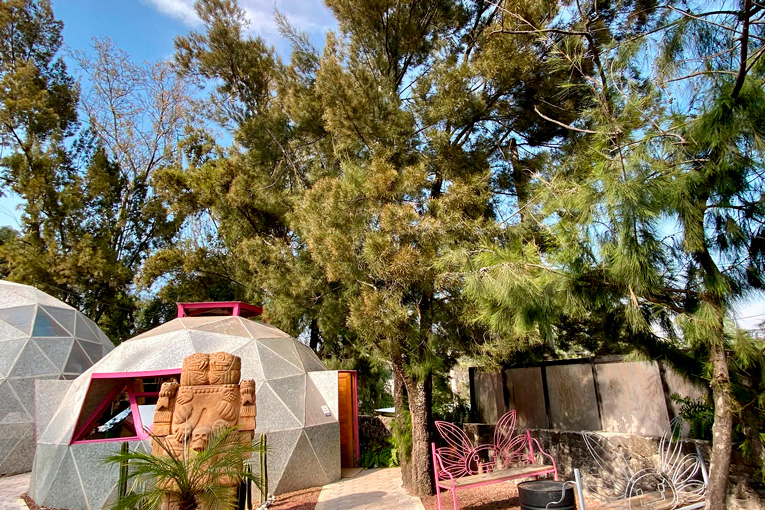 Dia-Nacional-del-Axolote