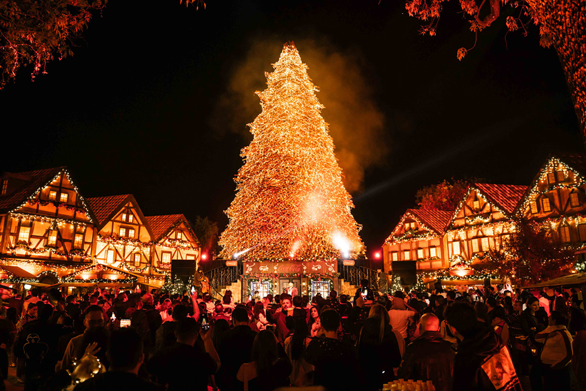 Navidalia-Guadalajara-2025