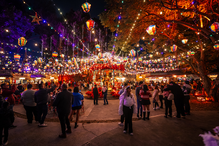 Navidalia-Guadalajara-2025