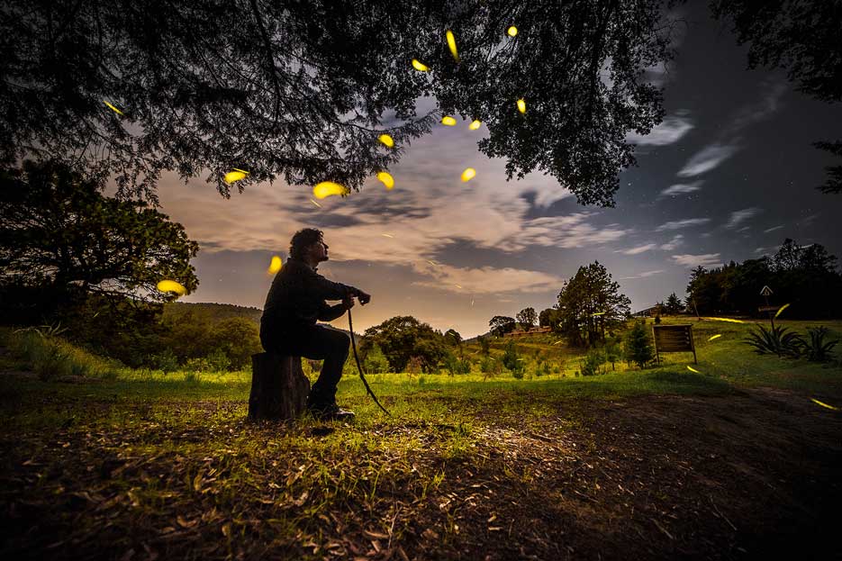 Temporada-de-Luciernagas-2023