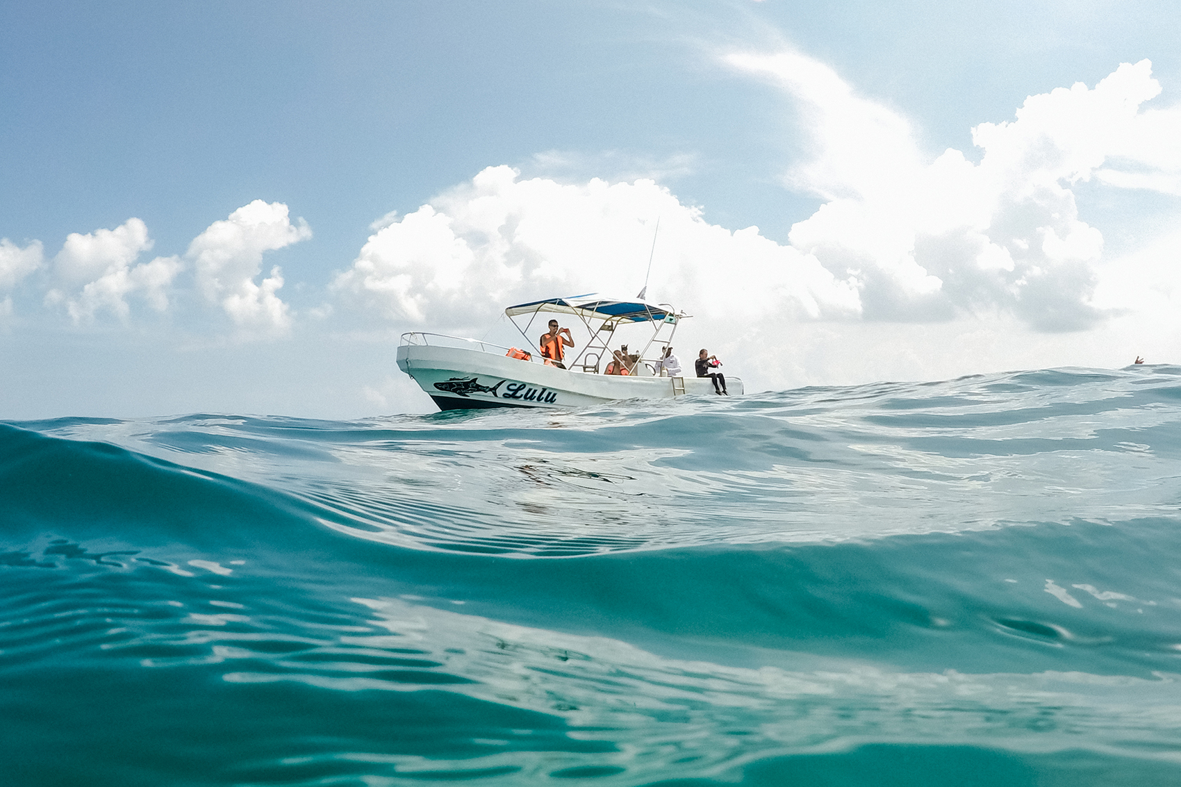Tiburon-Ballena-Holbox