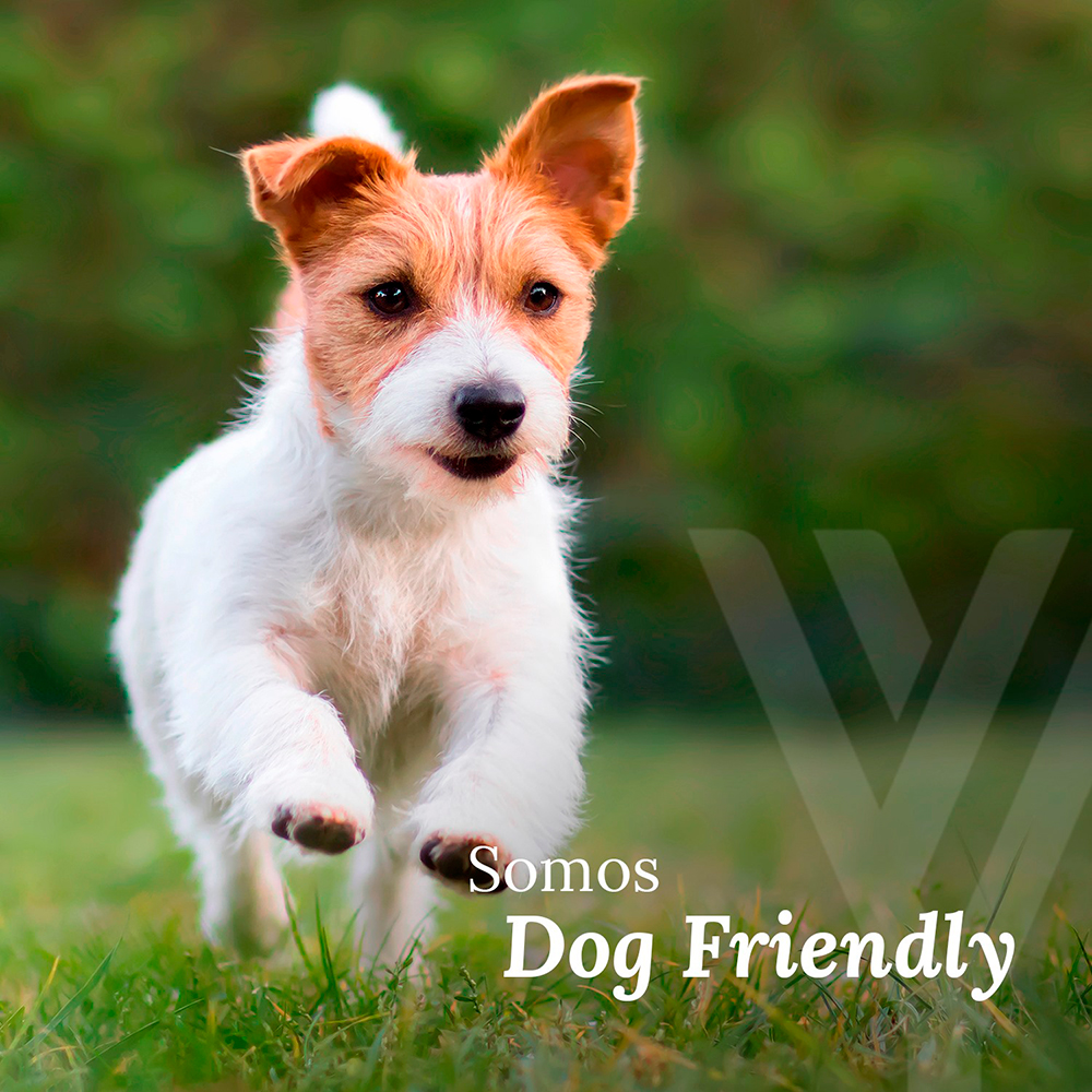 Wayam Mundo Imperial es también Dog Friendly